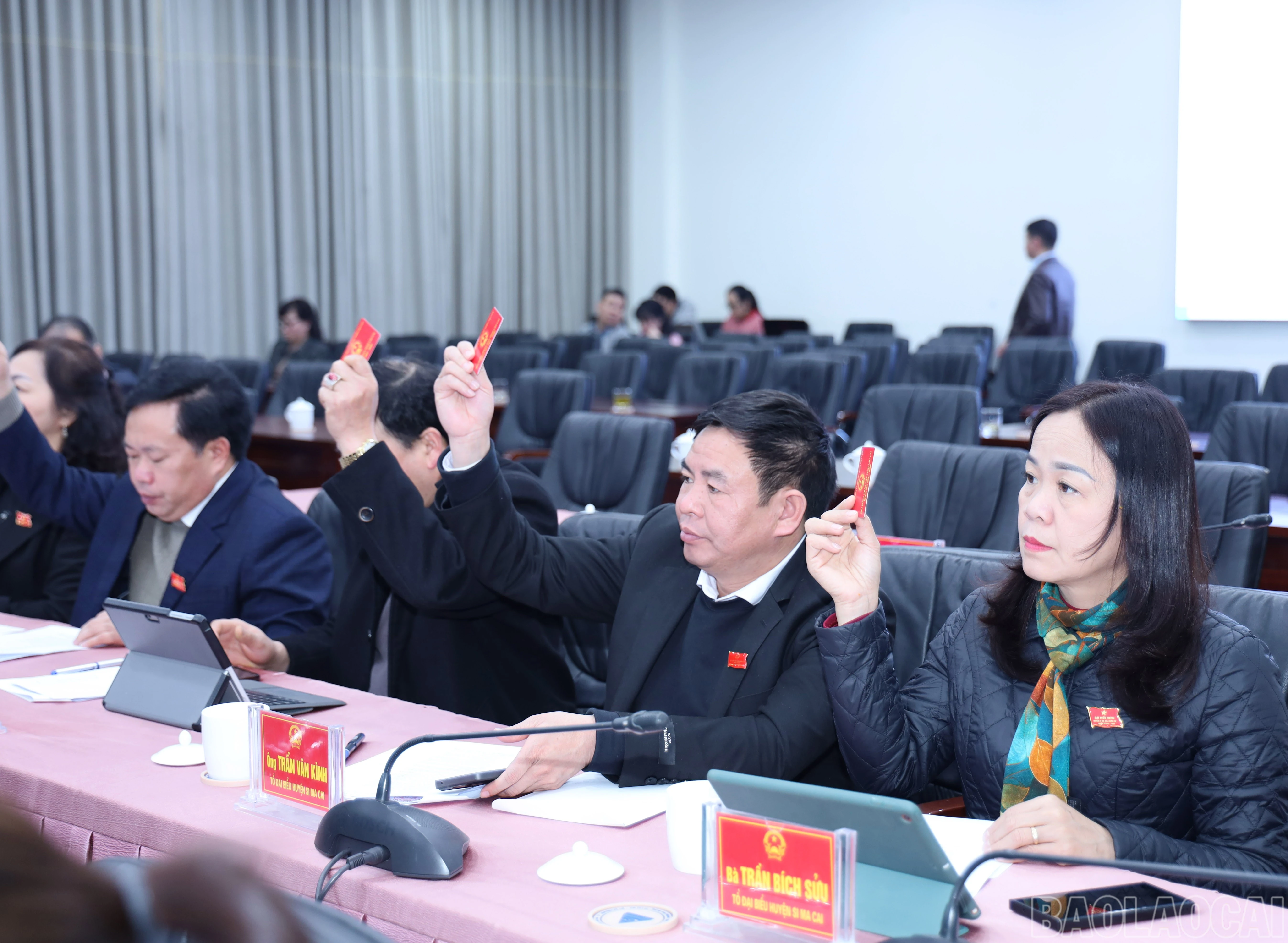 baolaocai-br_8996.jpg