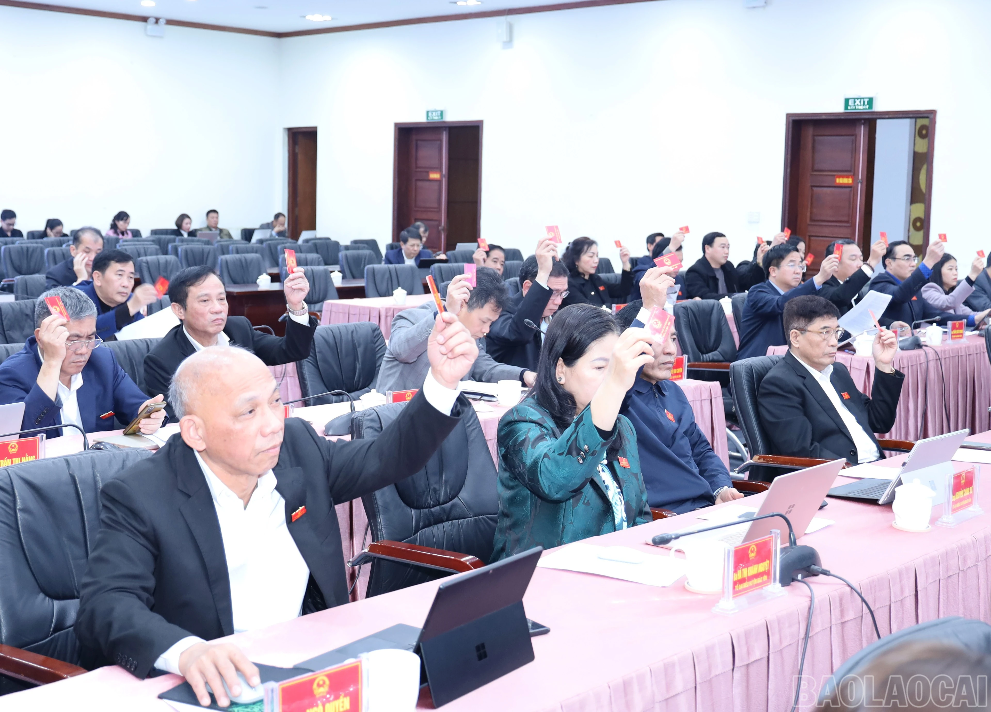 baolaocai-br_9003.jpg