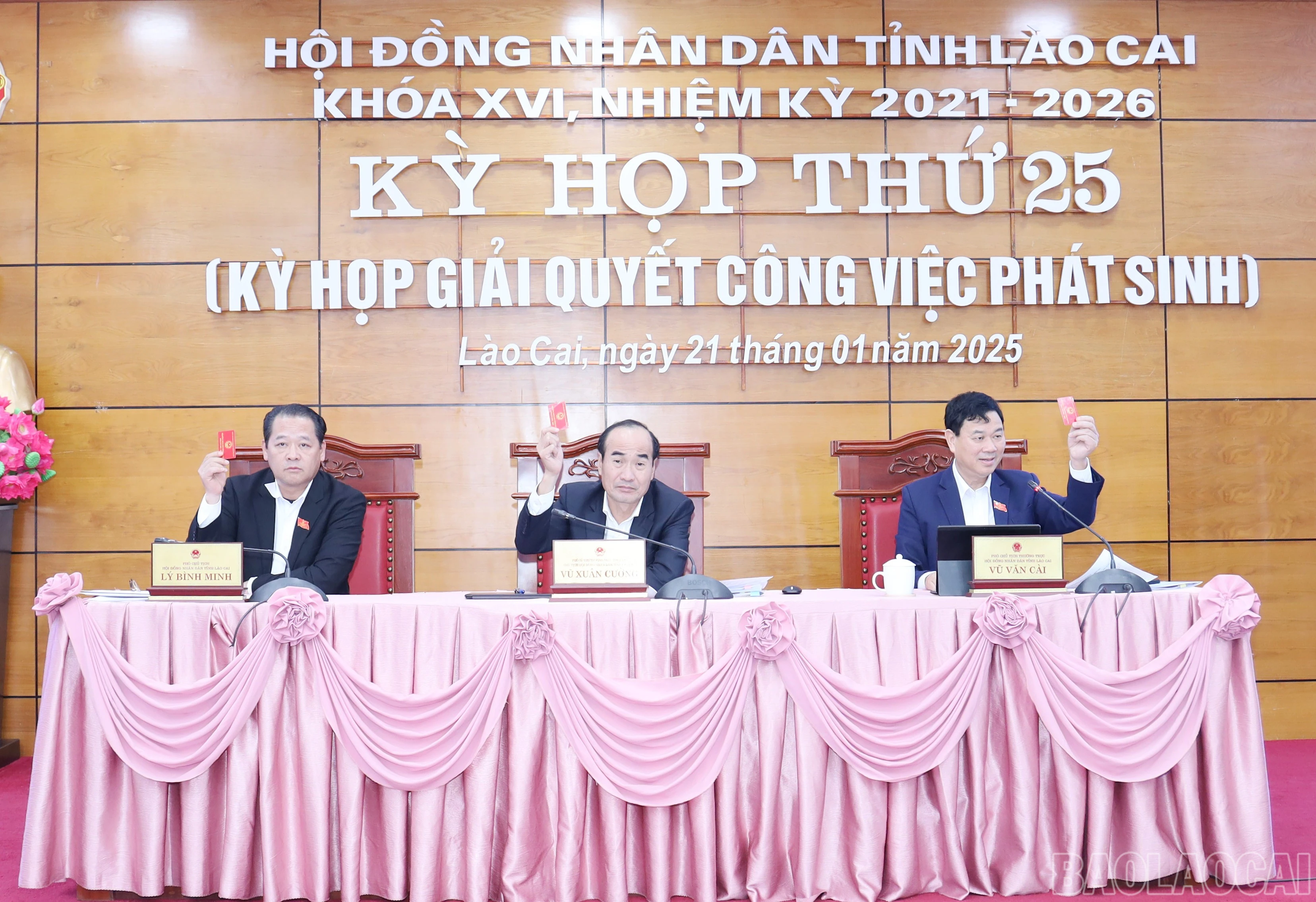 baolaocai-br_9005.jpg