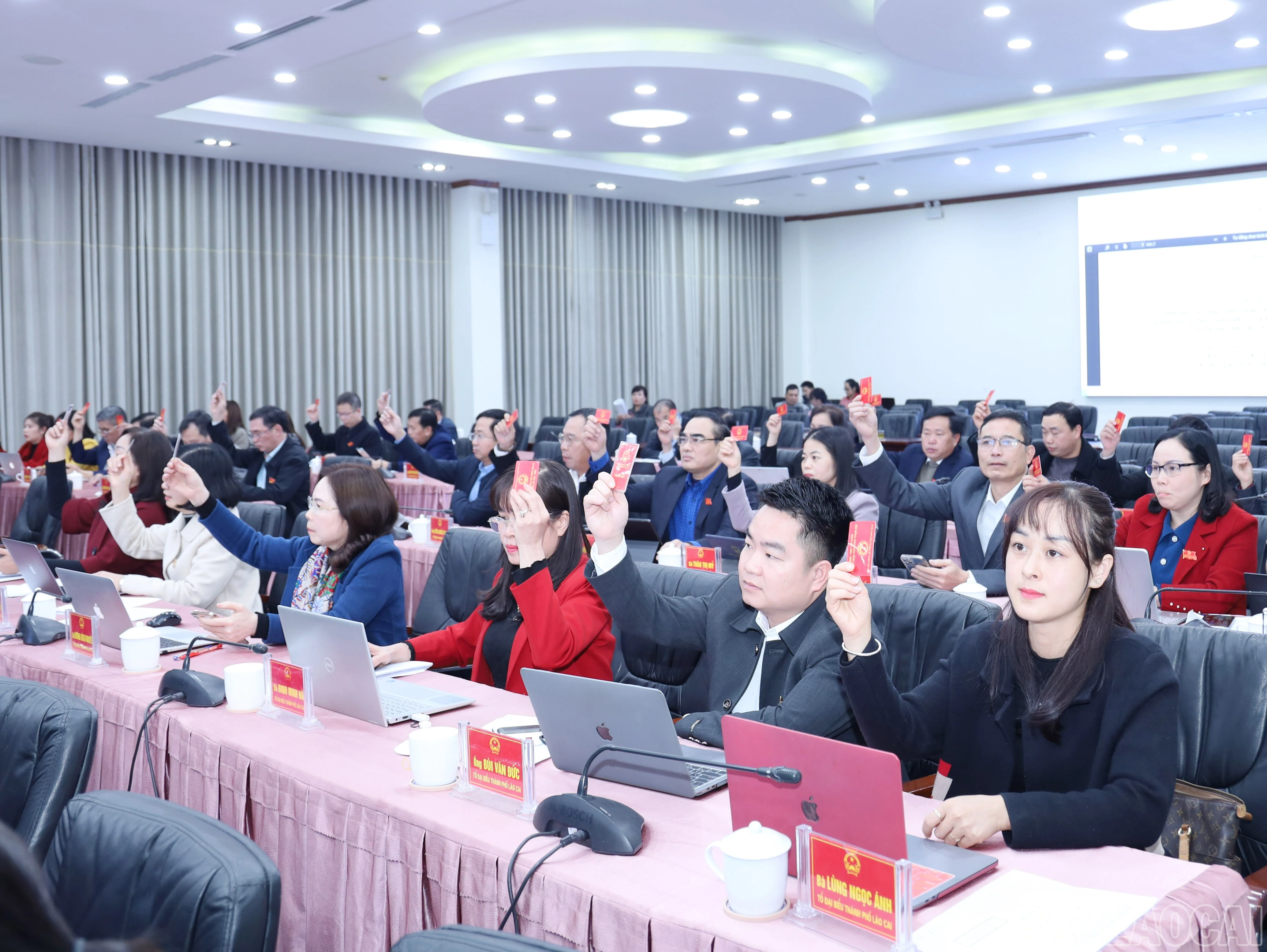 baolaocai-br_8991.jpg