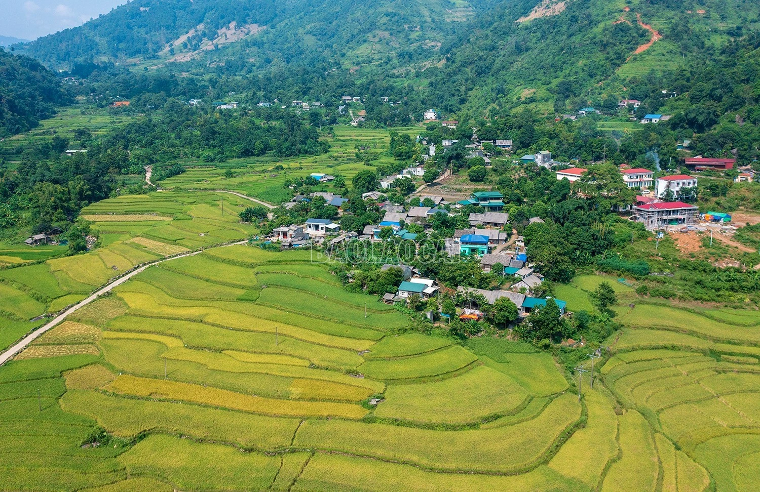 dji-0706-533-6265.jpg