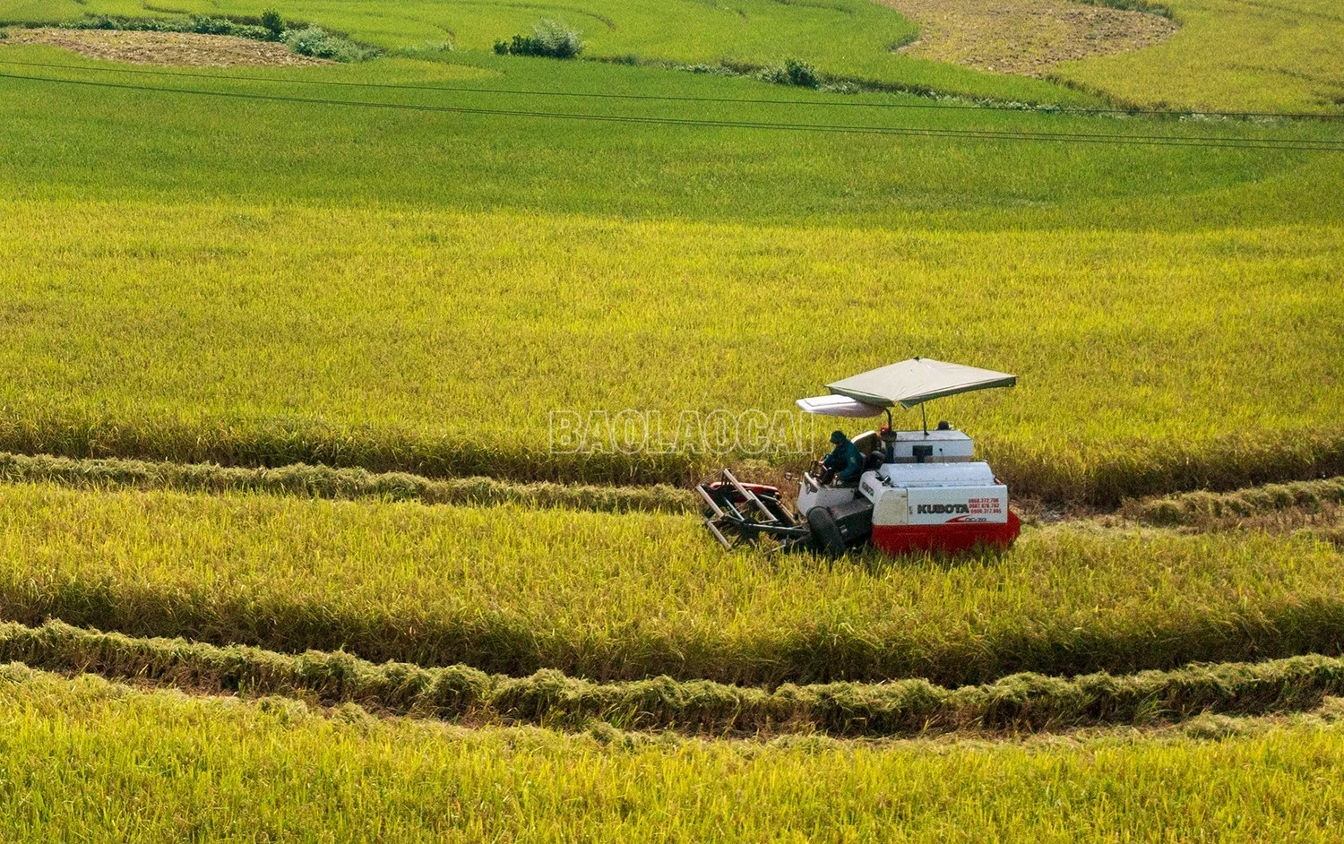 dji-0718-7264-3418.jpg