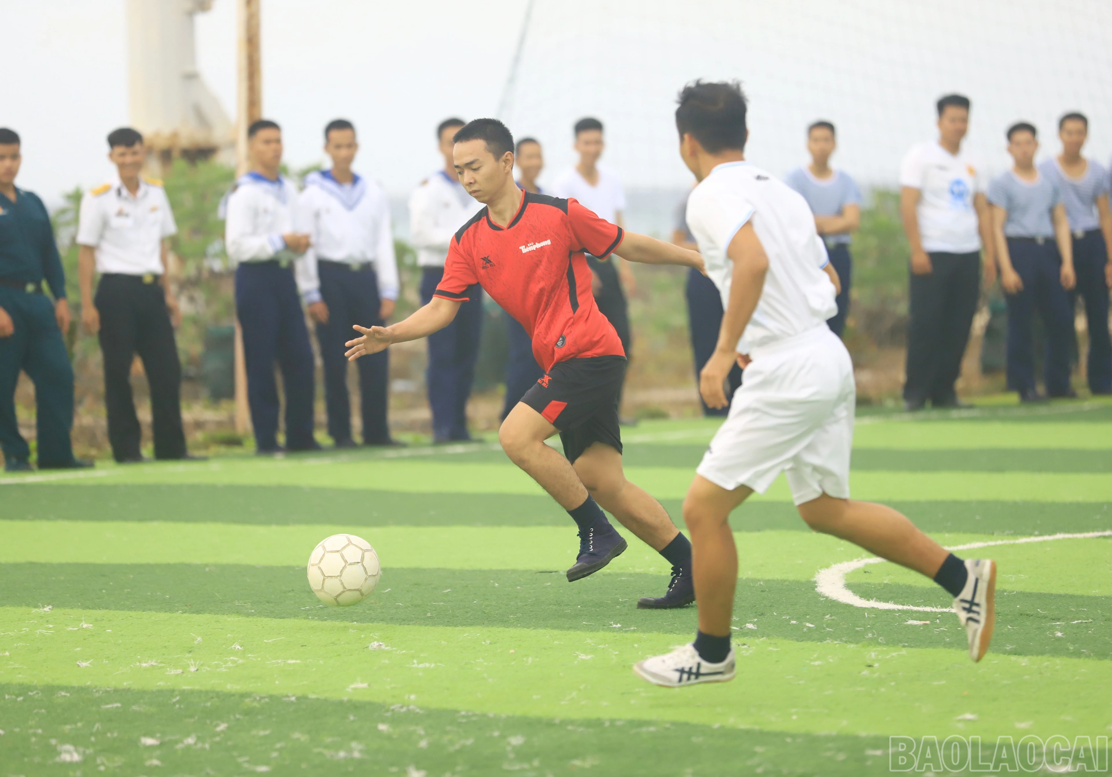 baolaocai-br_8466.jpg