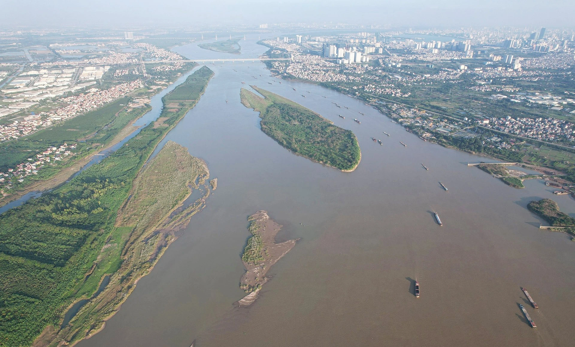 sh1-dt.jpg