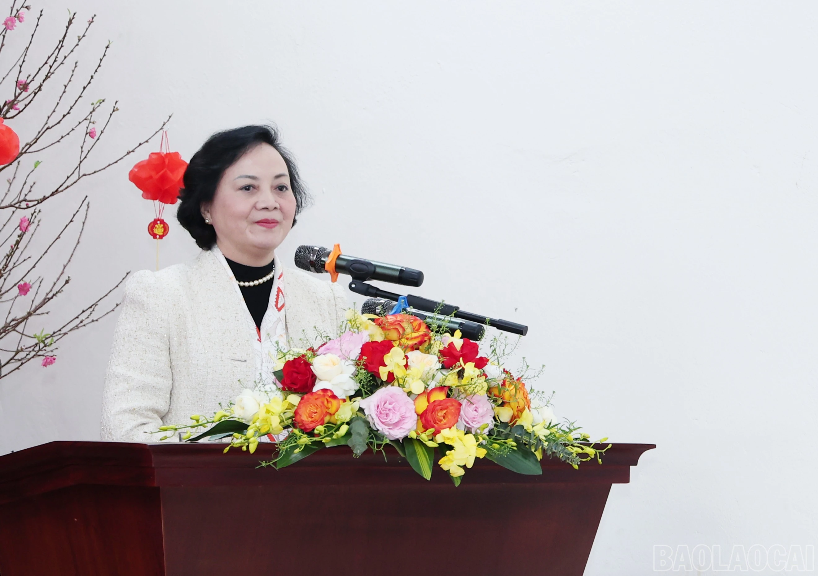 baolaocai-br_img-9521.jpg