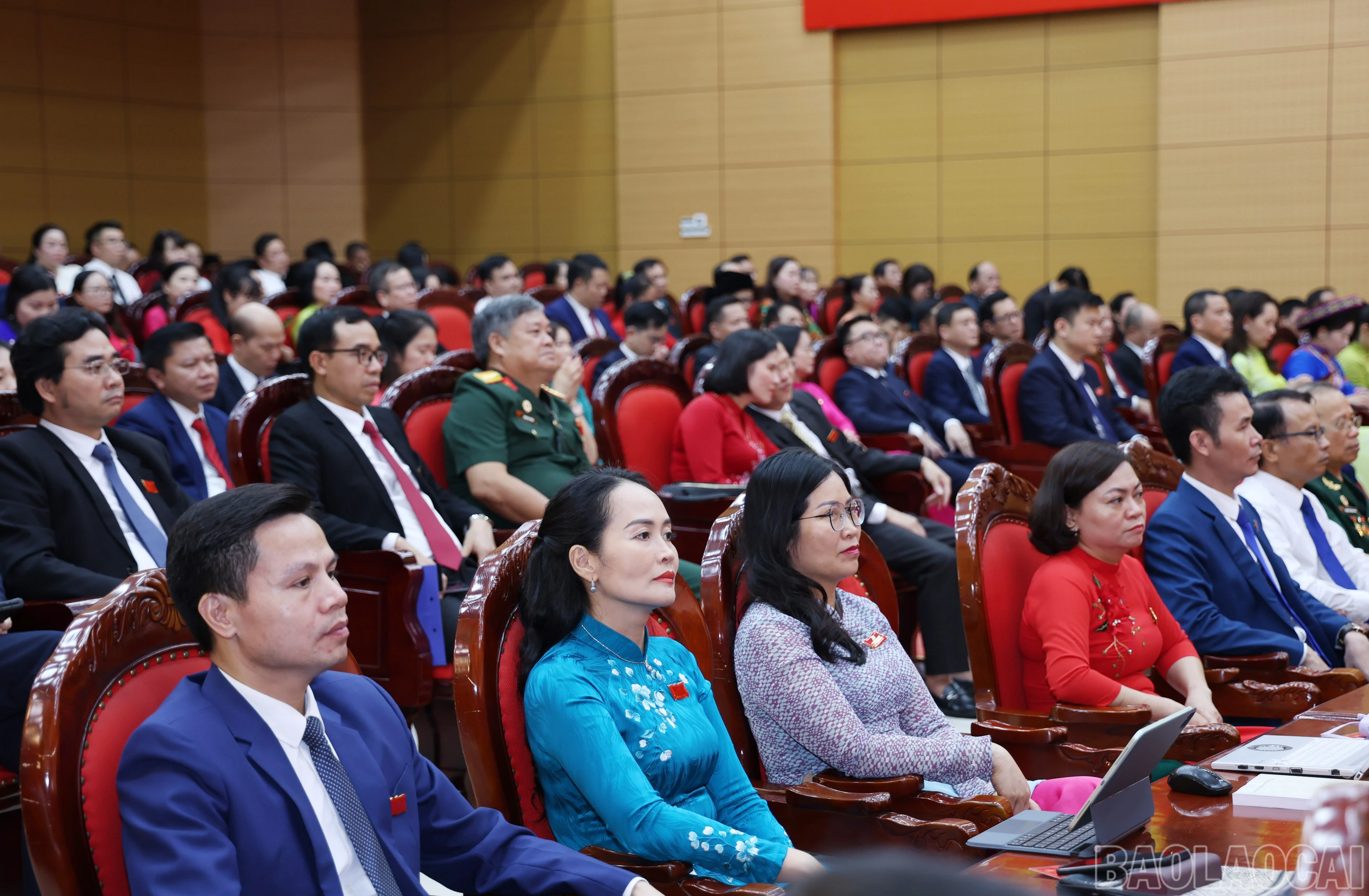 baolaocai-br_img-9341.jpg