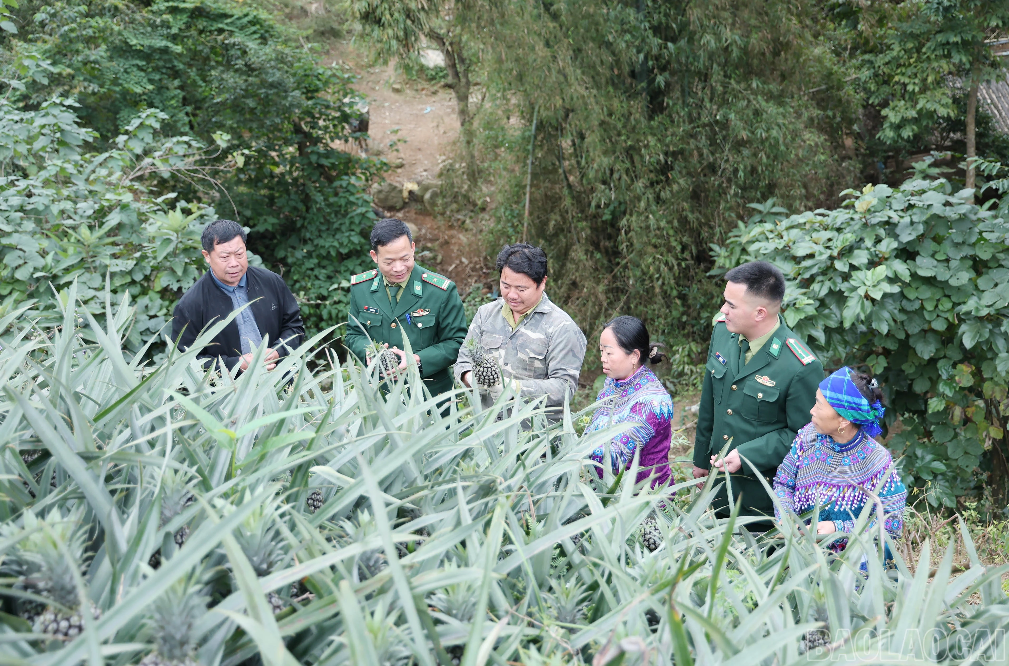 baolaocai-br_img-9414.jpg