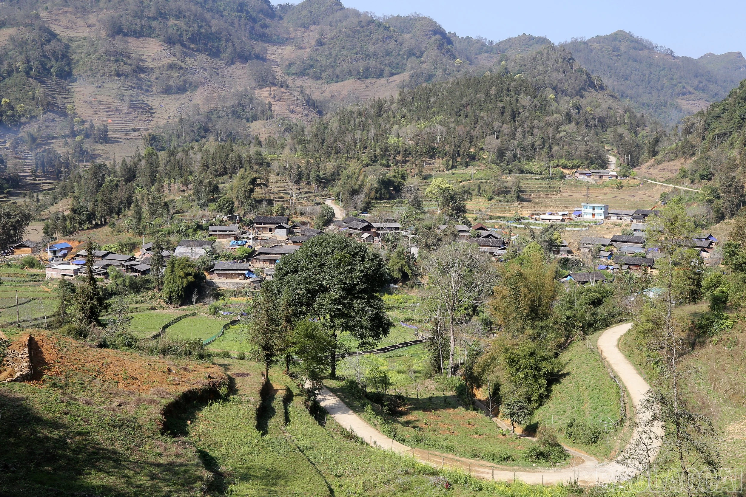baolaocai-br_2984.jpg