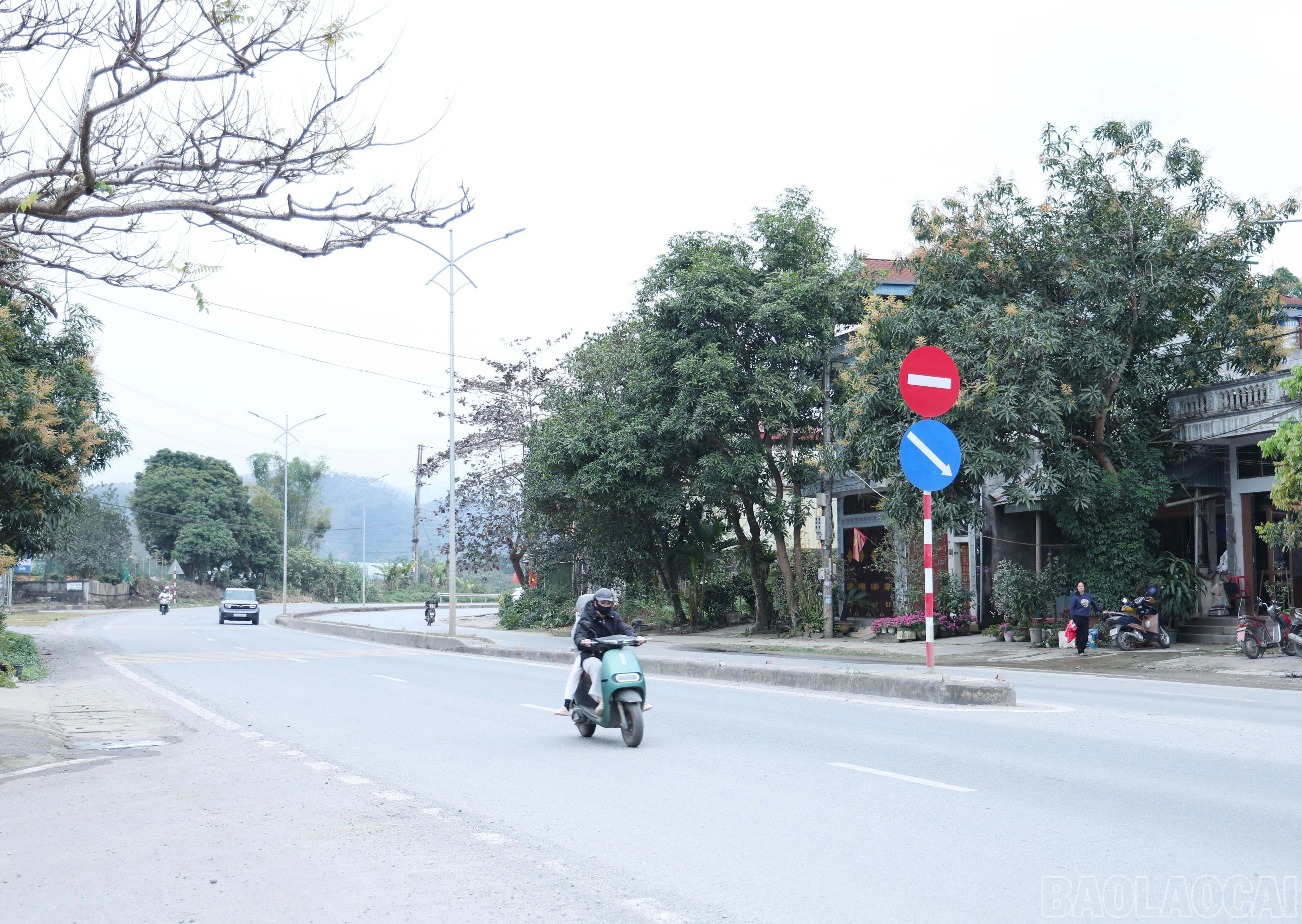 baolaocai-br_img-9519.jpg