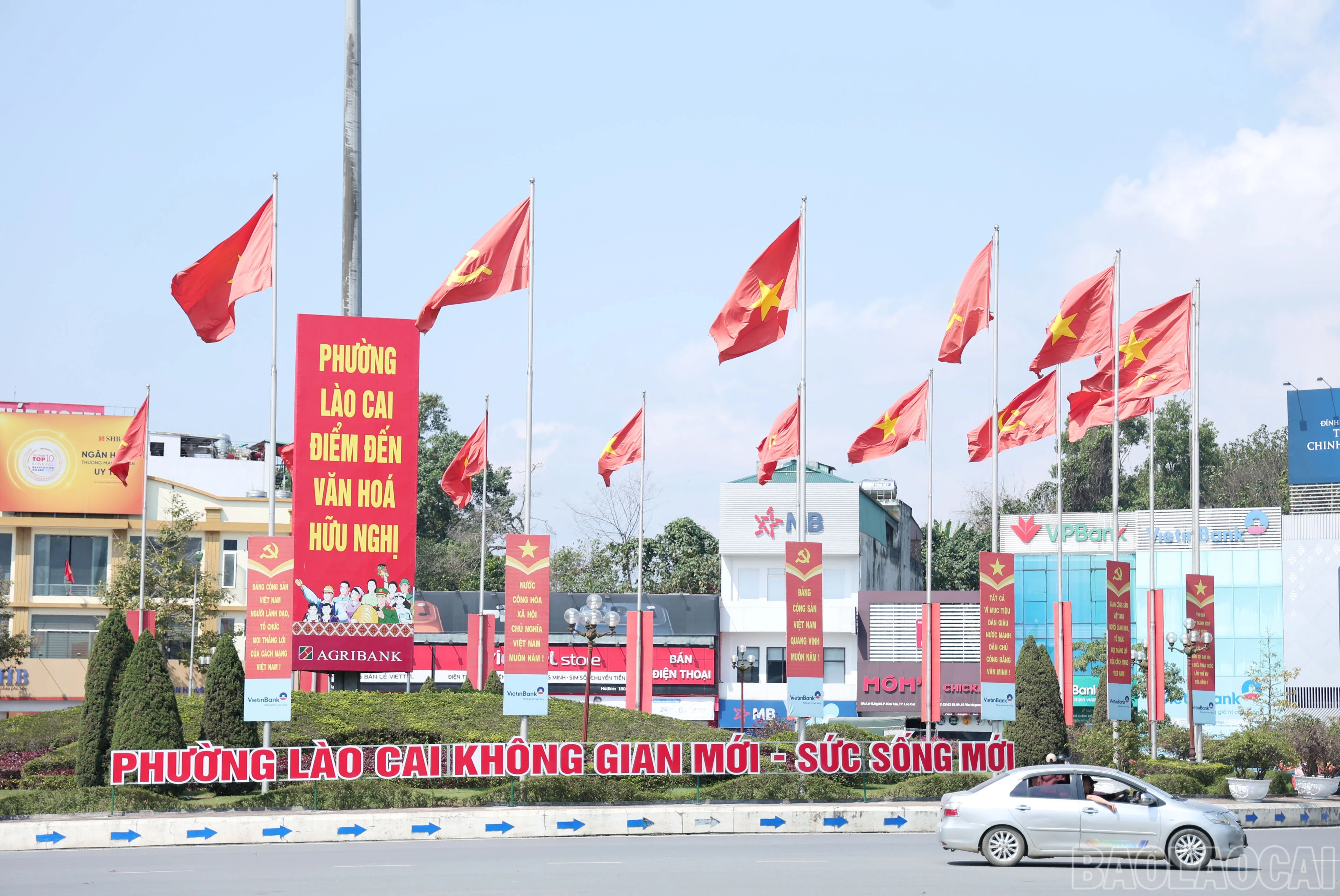 baolaocai-br_img-9886.jpg