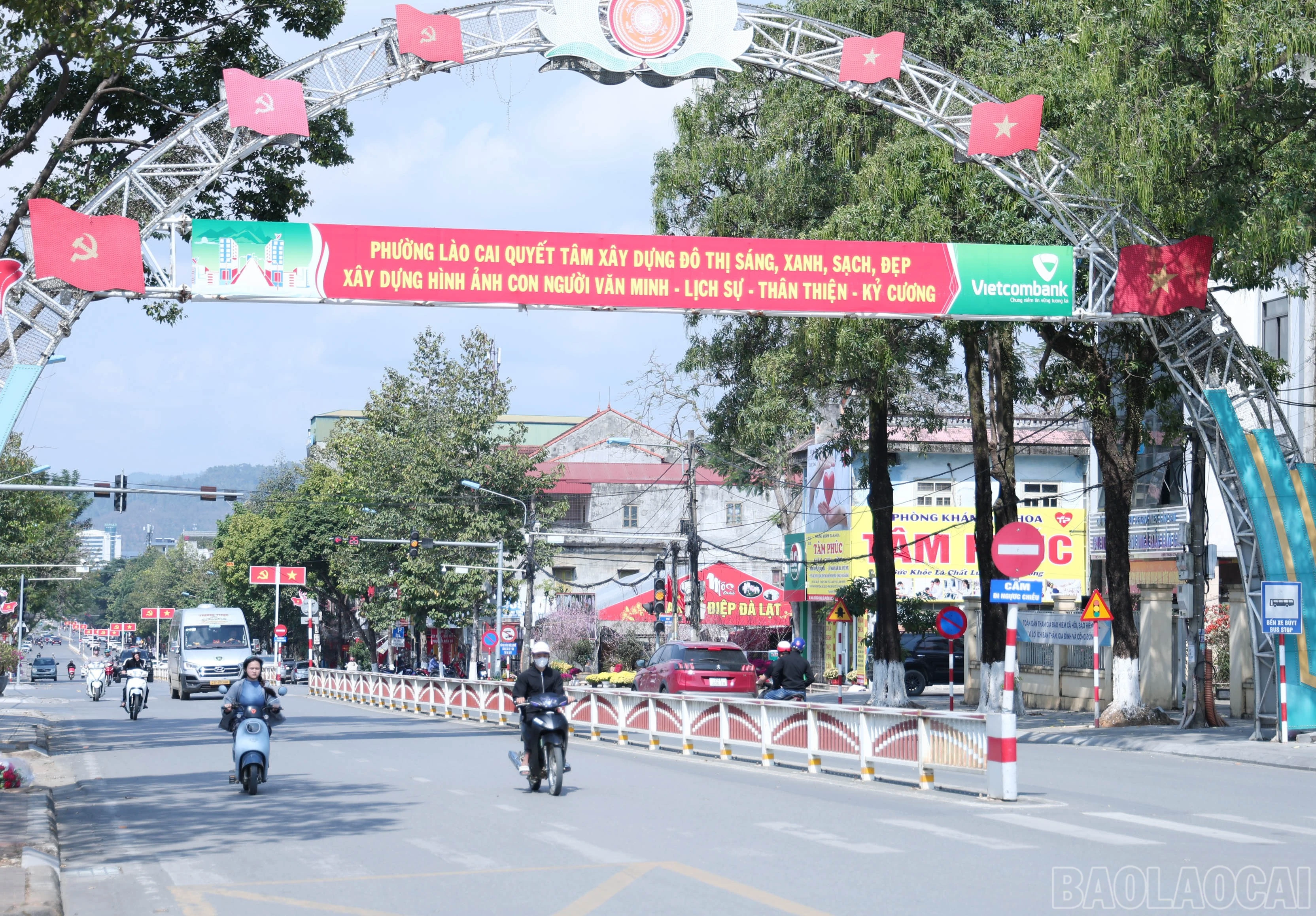 baolaocai-br_img-9823.jpg