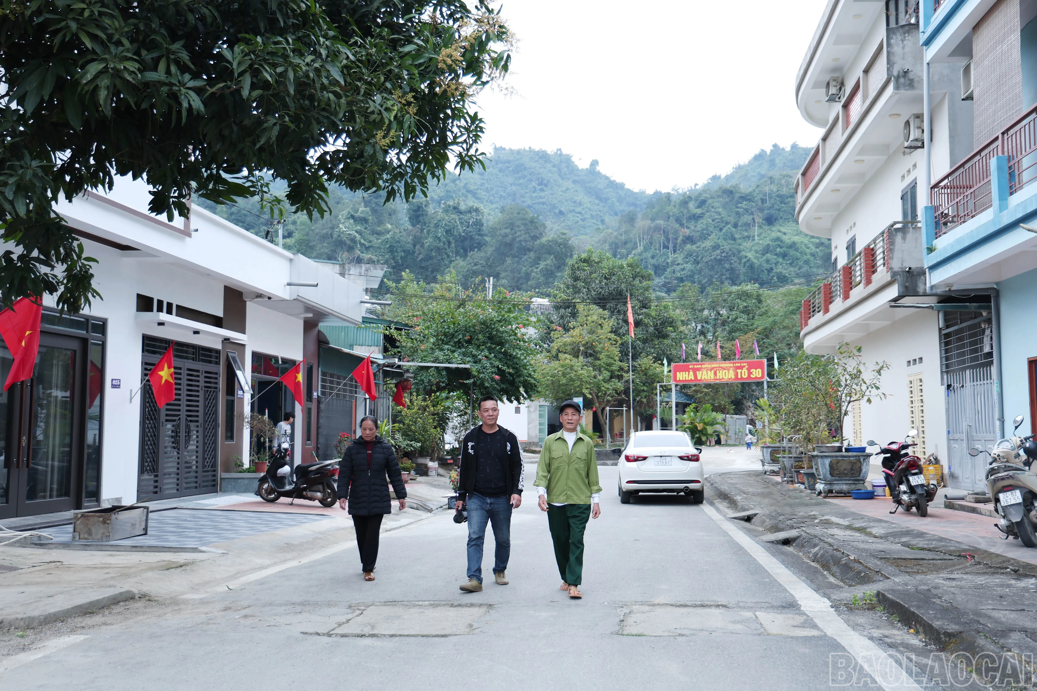 baolaocai-br_img-9533.jpg