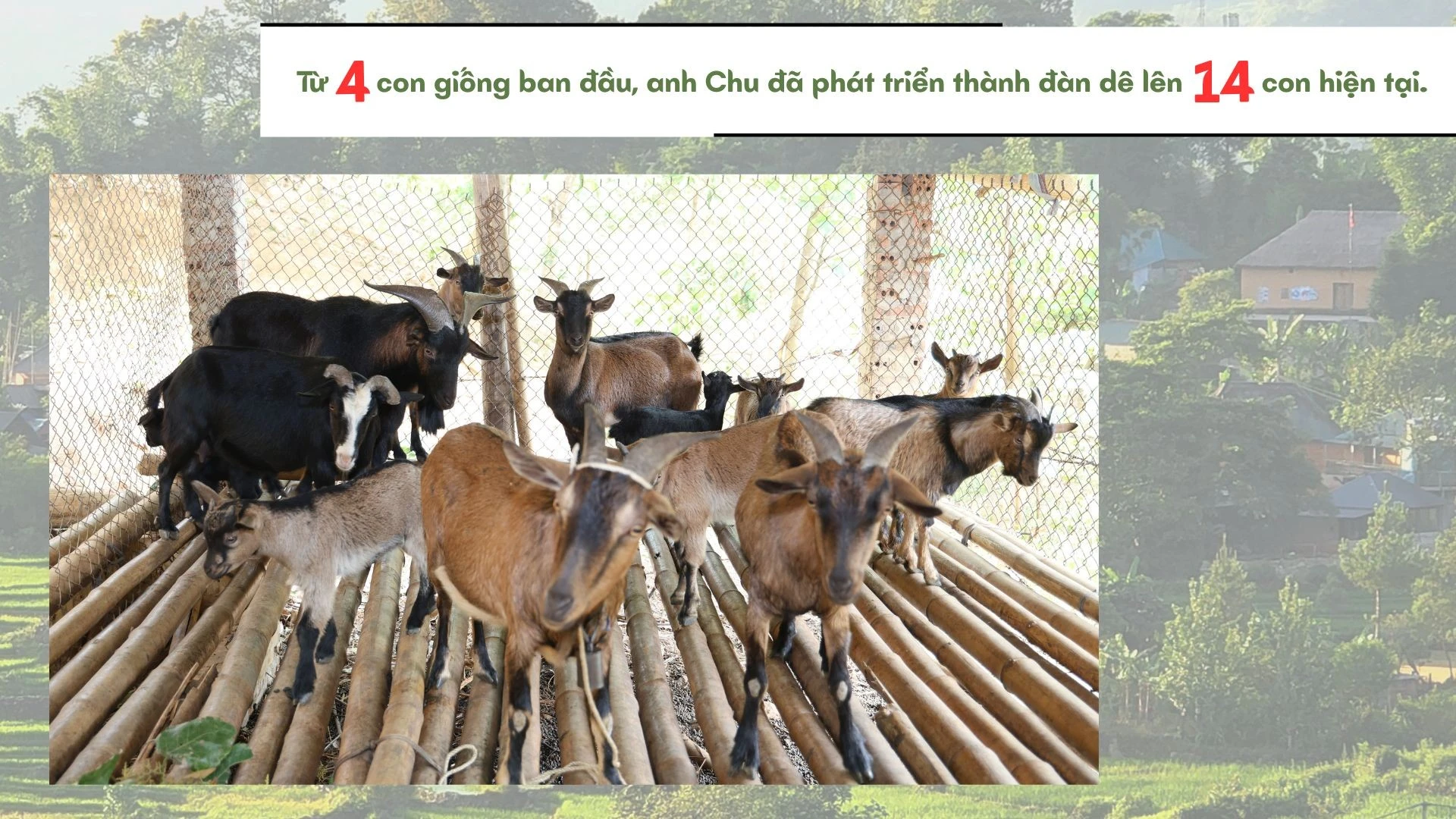 doan-kinh-te-quoc-phong-345-5.jpg