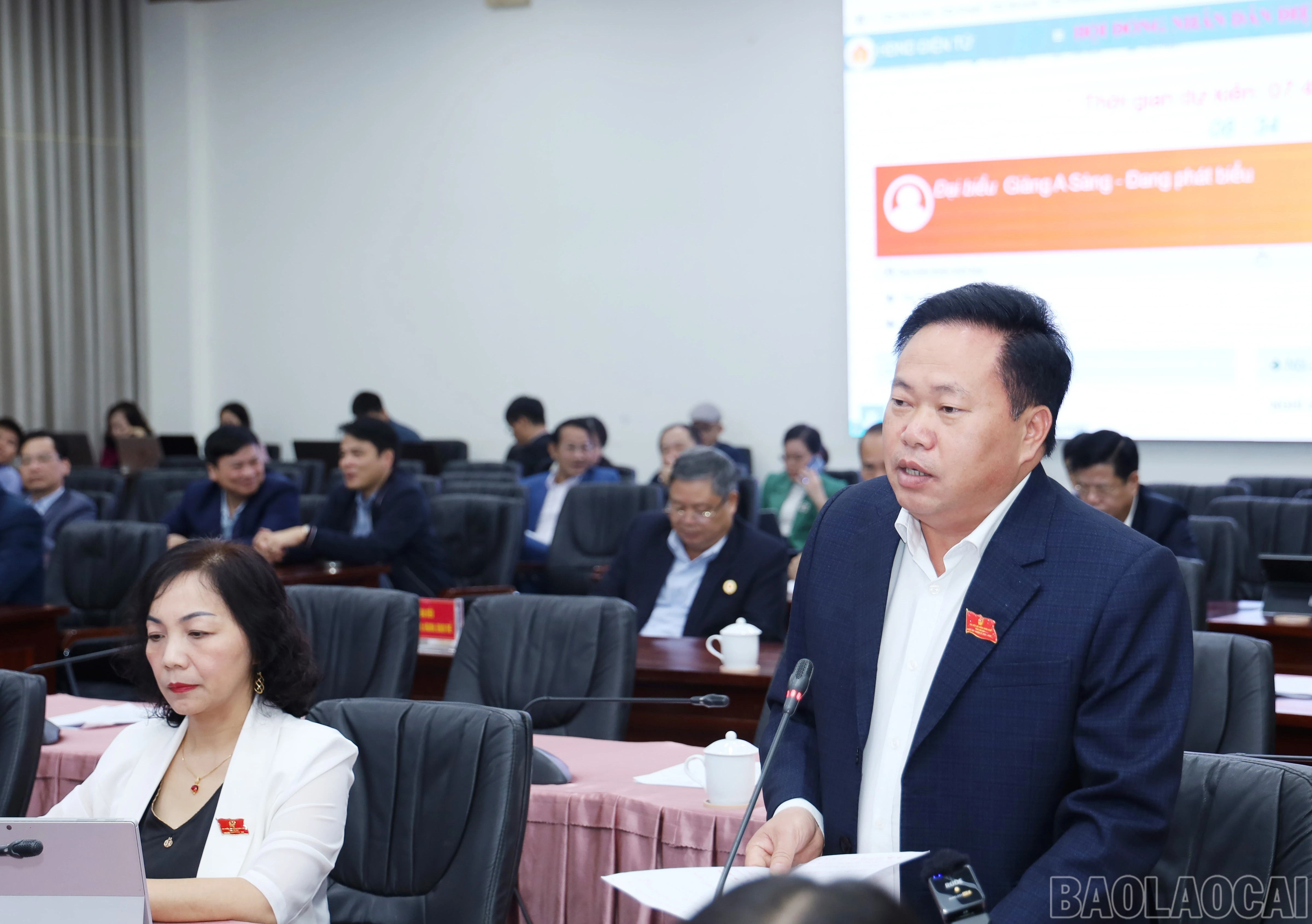 baolaocai-br_6801.jpg