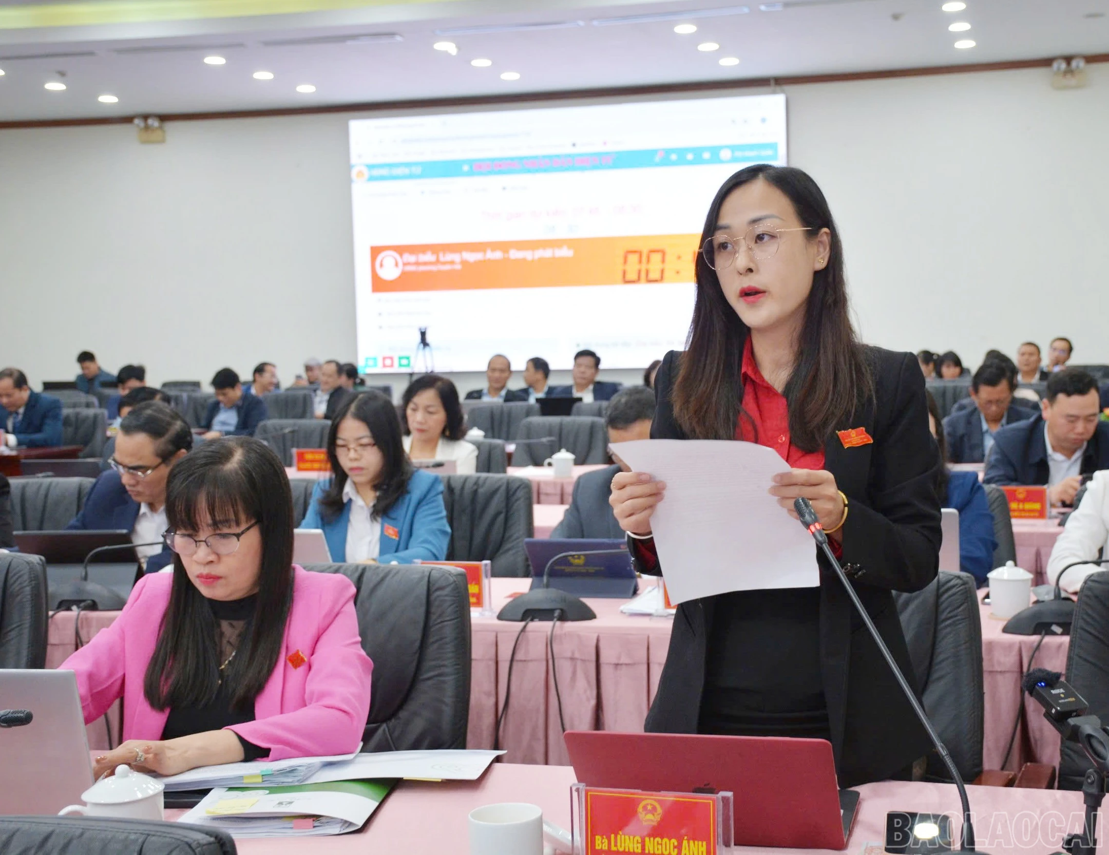baolaocai-br_123.jpg