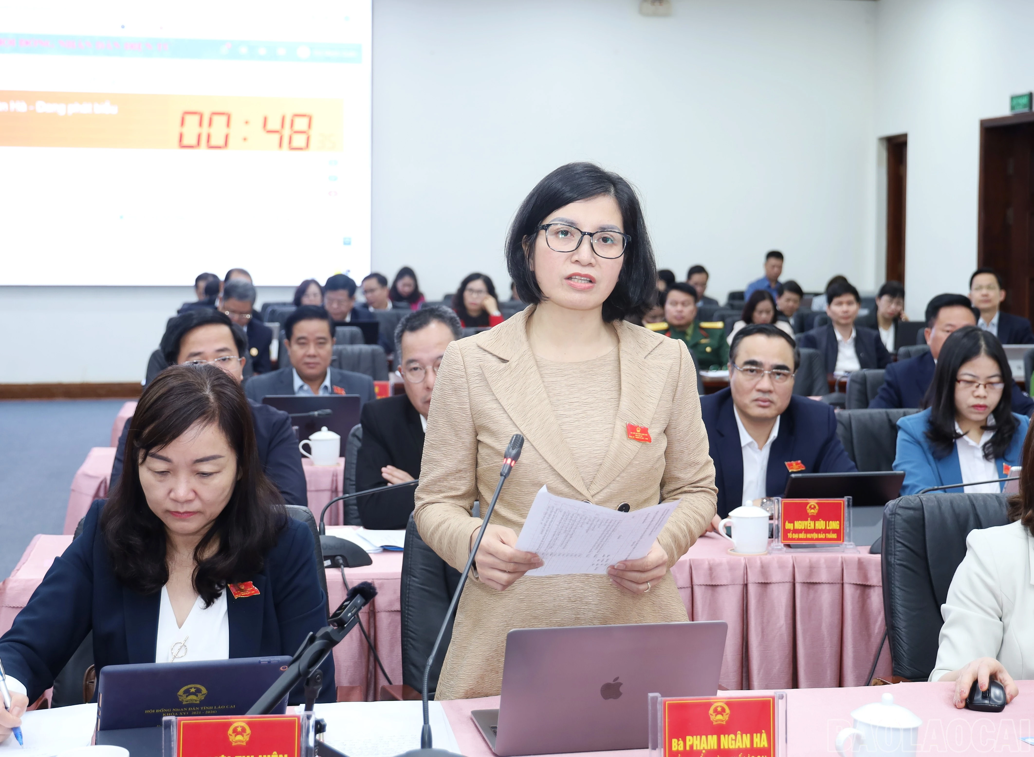 baolaocai-br_6809.jpg