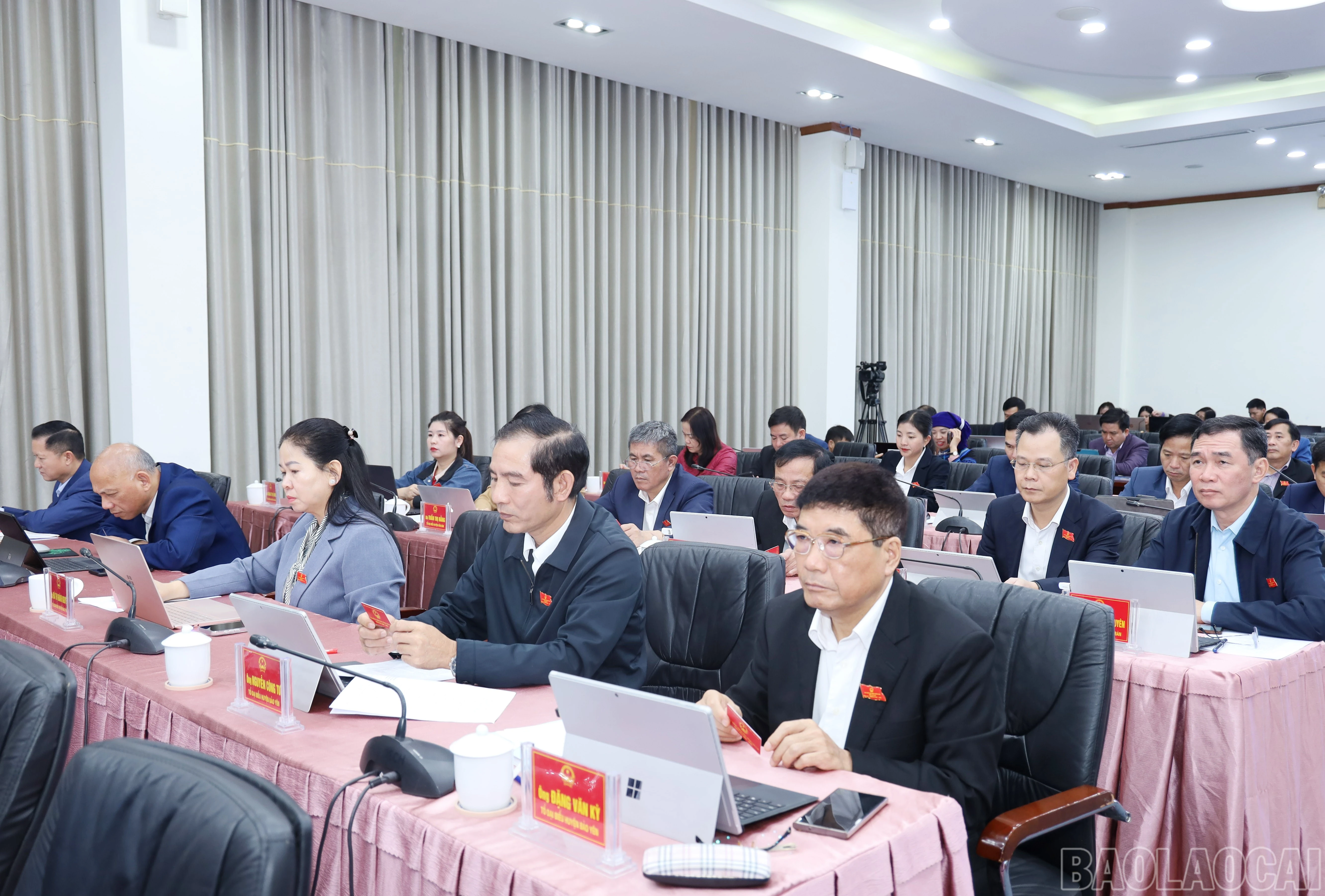baolaocai-br_6856.jpg
