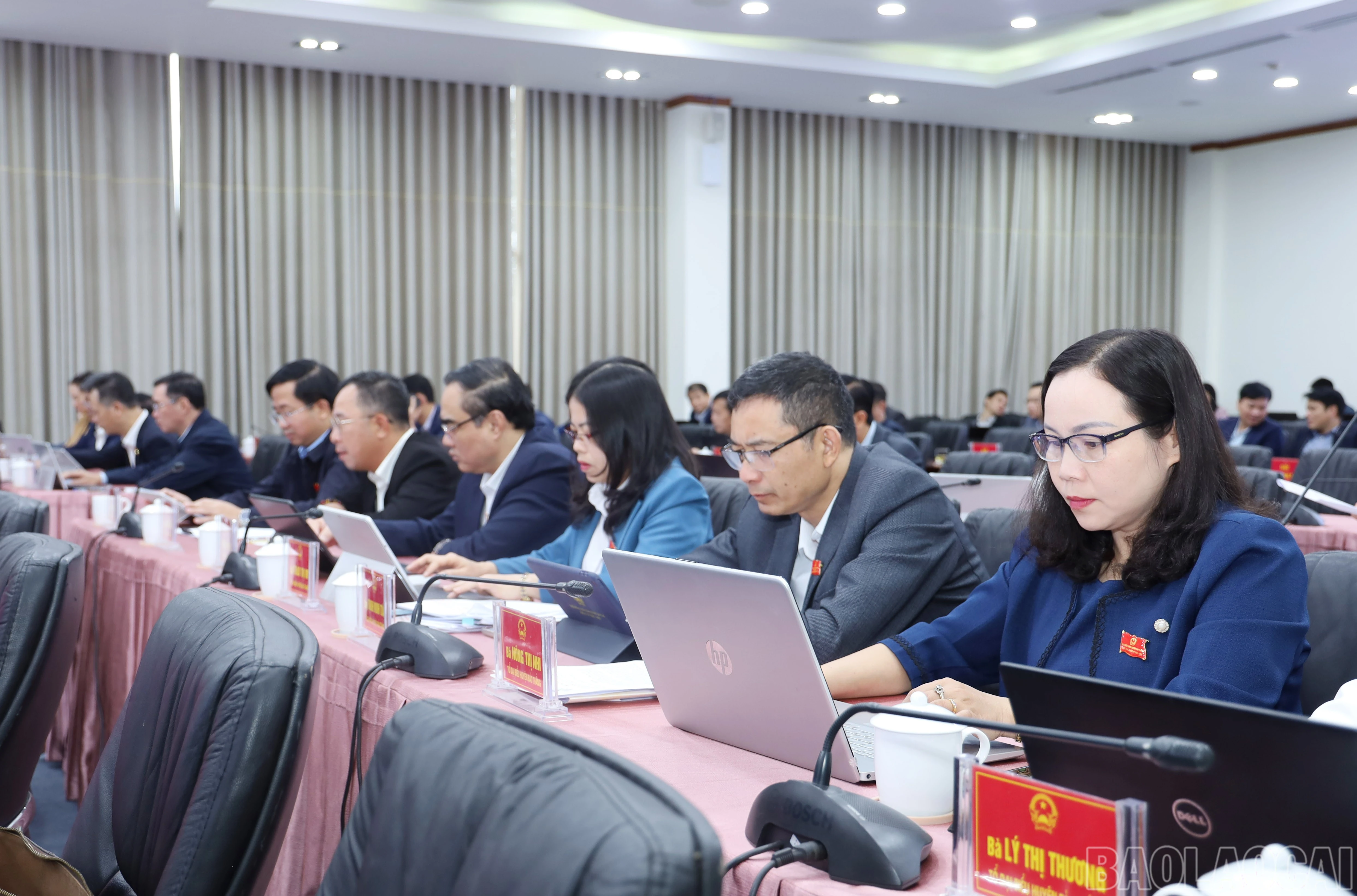 baolaocai-br_6805.jpg
