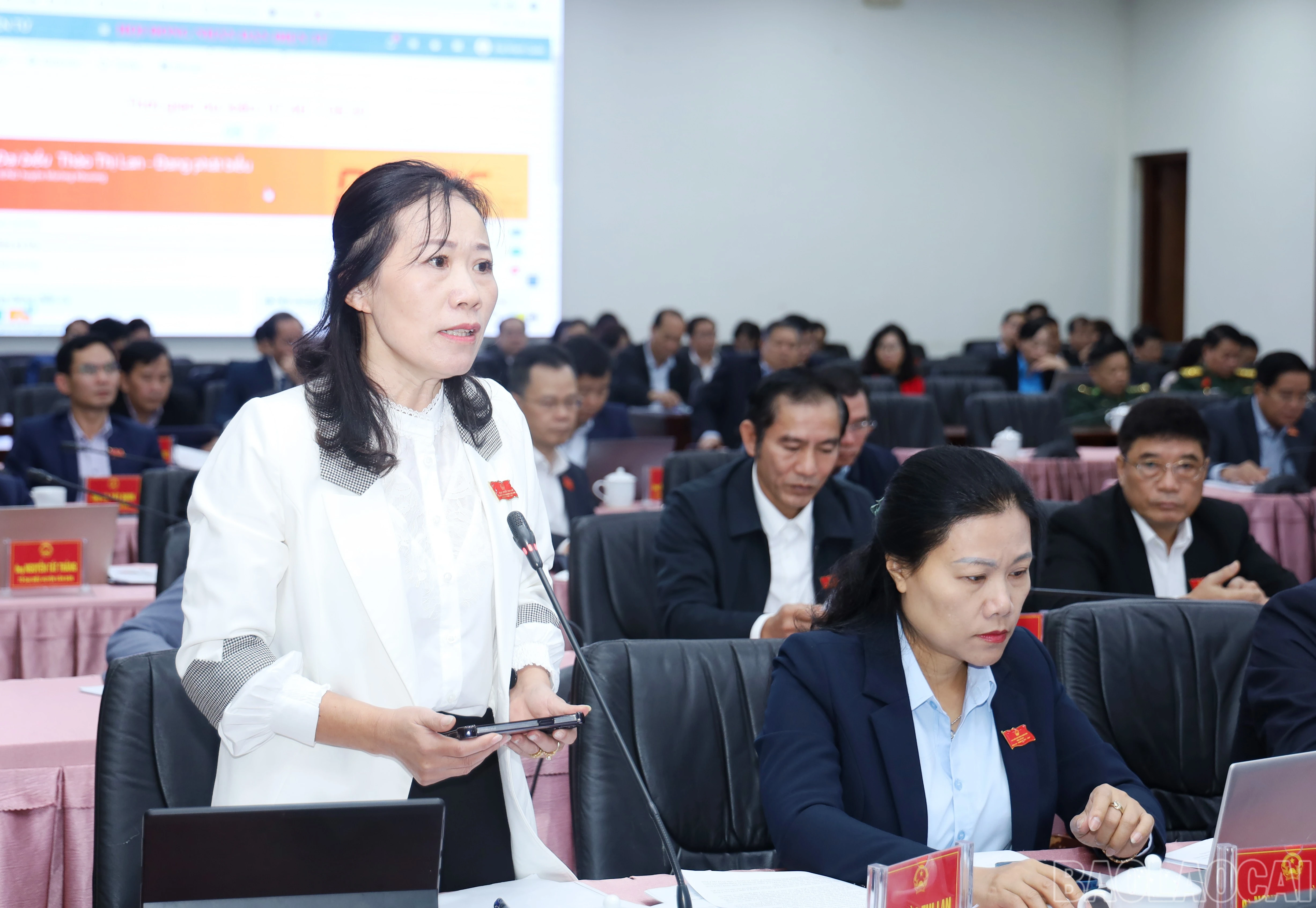 baolaocai-br_6792.jpg