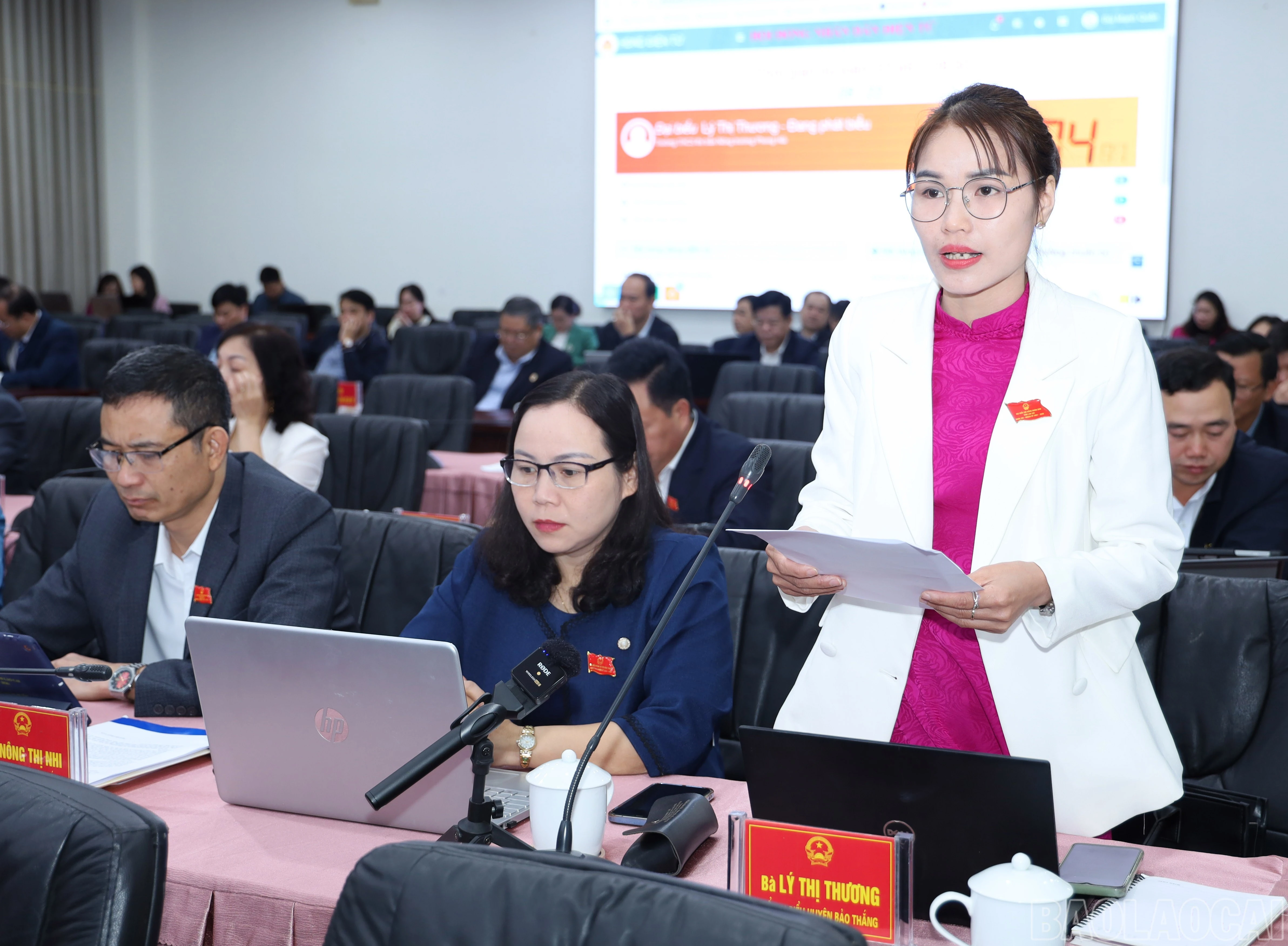 baolaocai-br_6787.jpg