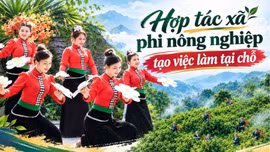 Hợp tác xã phi nông nghiệp tạo việc làm tại chỗ