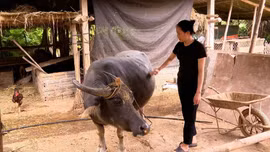 Lương Thịnh: Tạo nền tảng vững chắc để giảm nghèo bền vững