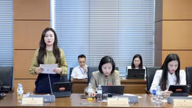 Đại biểu Quốc hội tỉnh Lào Cai đề xuất tháo gỡ vướng mắc, nâng cao tính khả thi của các dự án luật