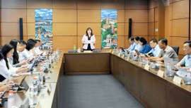Đoàn đại biểu Quốc hội tỉnh Lào Cai góp ý hoàn thiện 3 dự án luật
