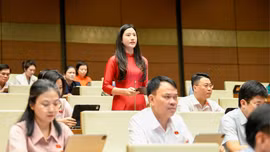 Đại biểu Quốc hội tỉnh Lào Cai góp ý vào định hướng chính sách sửa đổi Luật Nhà ở và giảm thuế thu nhập cá nhân, doanh nghiệp