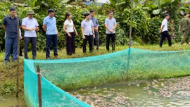 Đổi mới phương thức lãnh đạo từ cơ sở sau sắp xếp