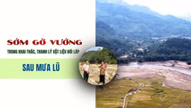 Sớm gỡ vướng trong khai thác, thanh lý vật liệu bồi lấp sau mưa lũ