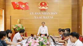 HĐND tỉnh giám sát công tác bồi thường, hỗ trợ, tái định cư và quản lý tài sản công tại Si Ma Cai