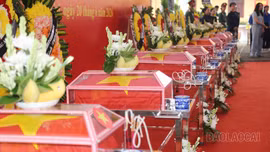 Từ đại ngàn các anh trở về