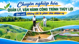 Bài cuối: Không chỉ là phân chia nhiệm vụ