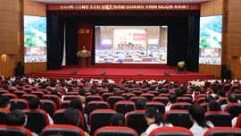 TIN CHỜ GHÉP (Đảng ủy phường Cam Đường học tập, quán triệt nghị quyết)