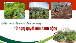 Từ nghị quyết đến hành động