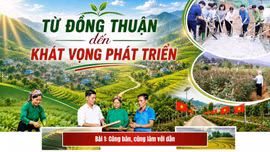 Bài 1: Cùng bàn, cùng làm với dân