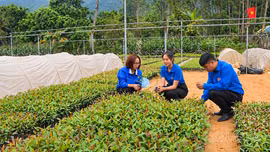 Xây dựng hình mẫu thanh niên trong kỷ nguyên mới