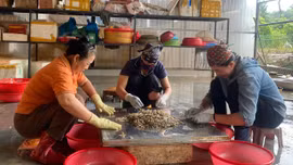 Đưa cơ hội việc làm đến gần người dân