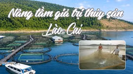 Nâng tầm giá trị thủy sản Lào Cai