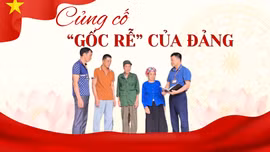 Củng cố "gốc rễ" của Đảng