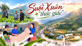 Suối Xuân “thức giấc”