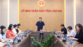 Lào Cai tư vấn tuyển chọn 2 nhiệm vụ khoa học và công nghệ cấp tỉnh năm 2026
