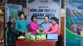 Chuyển đổi số ở Lào Cai: Lấy hiệu quả thực chất làm thước đo