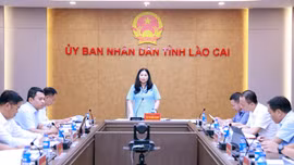 Lào Cai đề nghị khen thưởng cấp Nhà nước cho 59 cá nhân theo thành tích cống hiến