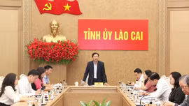 Thường trực Tỉnh ủy Lào Cai nghe báo cáo về việc lựa chọn biểu trưng của tỉnh