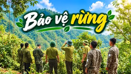 Những người giữ màu xanh cho đại ngàn
