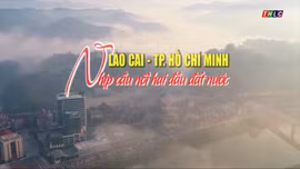 Phim tài liệu: Lào Cai - Thành phố Hồ Chí Minh: Nhịp cầu nối hai đầu đất nước
