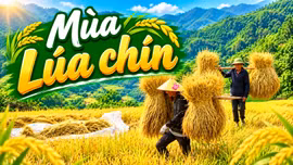 Kho no ấm ở vùng cao