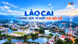 Phóng sự tài liệu: Lào Cai chung sức vì một xã hội số